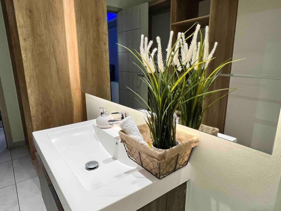 Apartamento Con Impresionante Vista En La Cuidad San Salvador